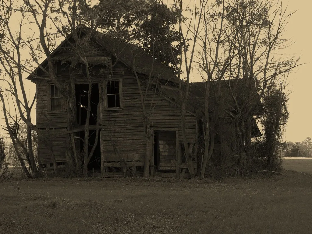 Maison de bois en ruine entourée d’arbres, en tons sépia.