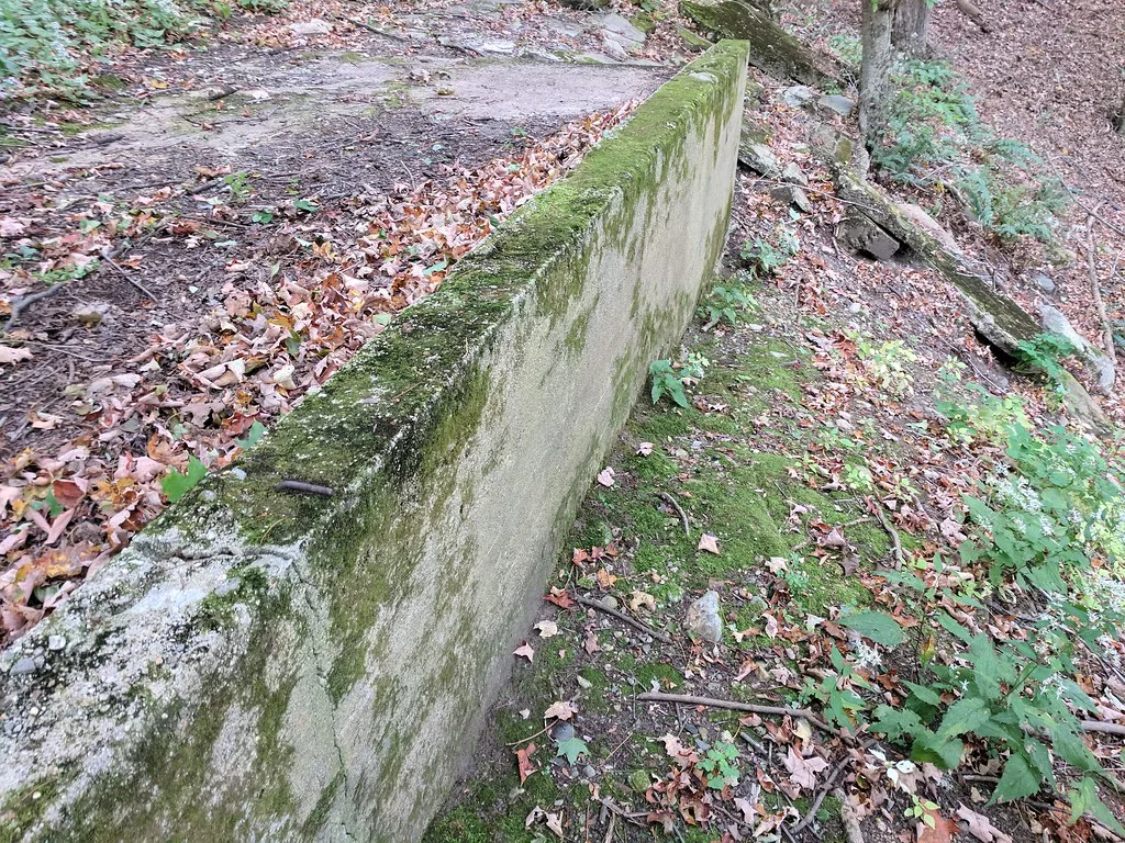 Vestige de mur de béton couvert de mousse dans un sous-bois.