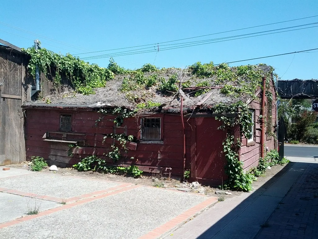 Small red wooden building with a collapsed roof beneath climbing plants.