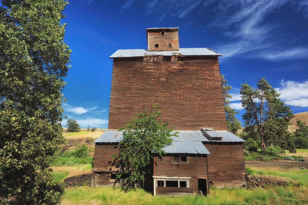 Ancien silo de bois dégradé au milieu de la végétation.