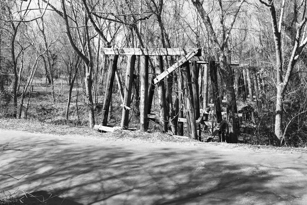 Remains of wooden bridge piles and beams among trees.