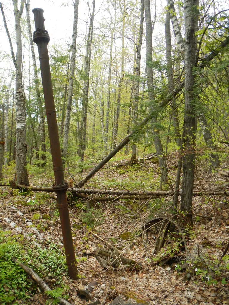 Old rusty metal pipe among trees.