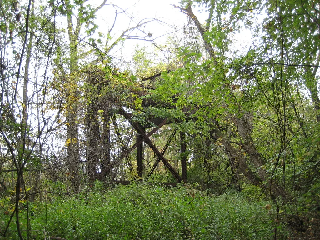Abandoned cross-braced wooden frame supporting a vegetation-covered platform in woodland.