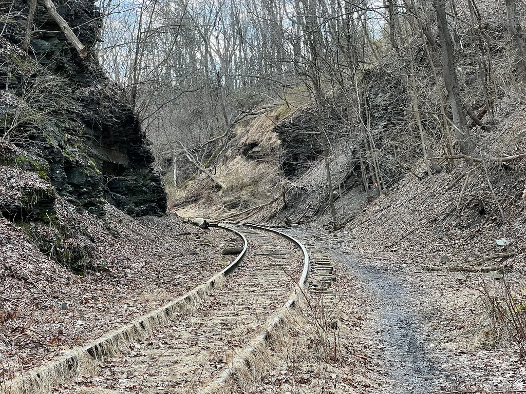 Ancienne voie ferrée abandonnée entre des parois rocheuses, aux traverses envahies d’herbes et tronc sur les rails.