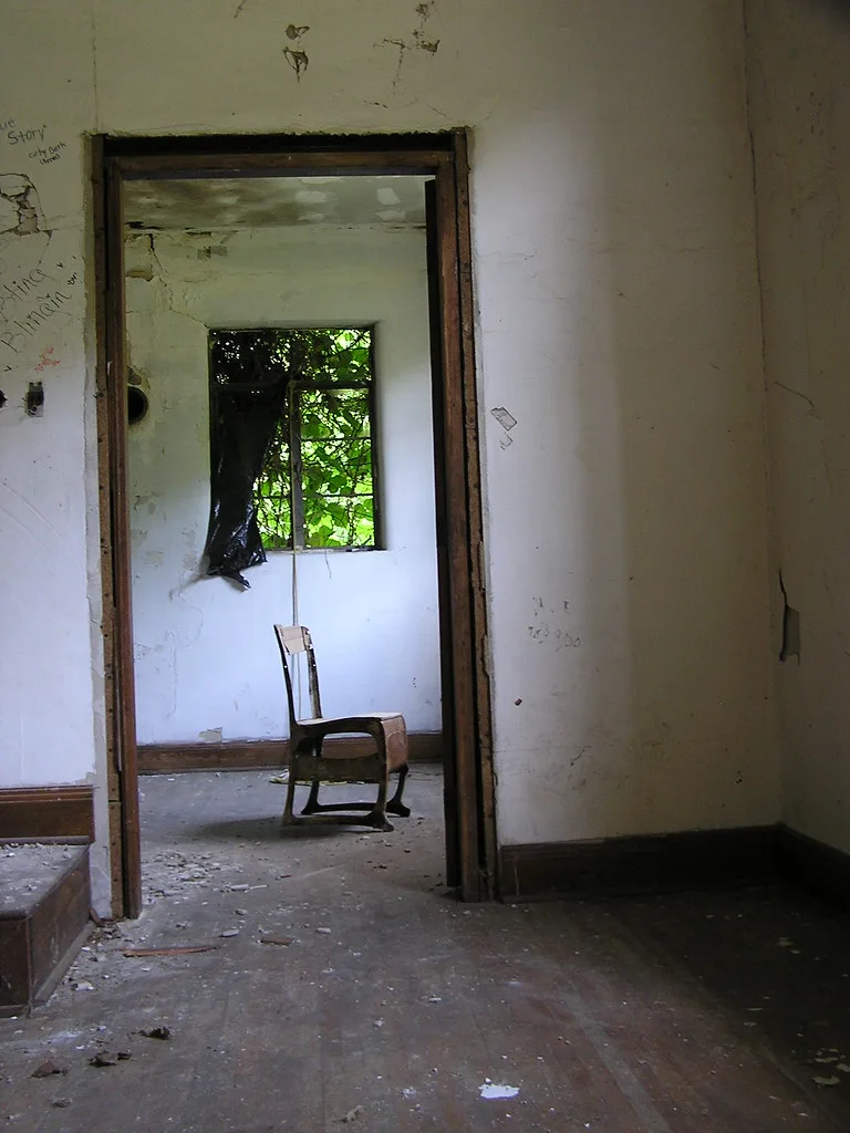 Deteriorated adjoining rooms with a chair near a foliage-covered window.