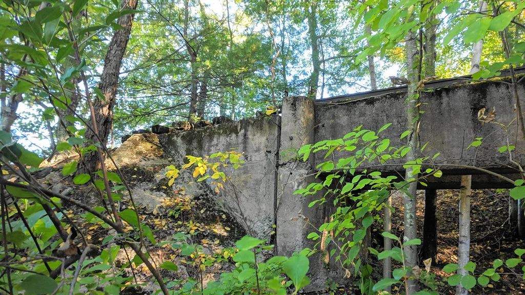 Ruined walls and metal beams overgrown with woodland vegetation.