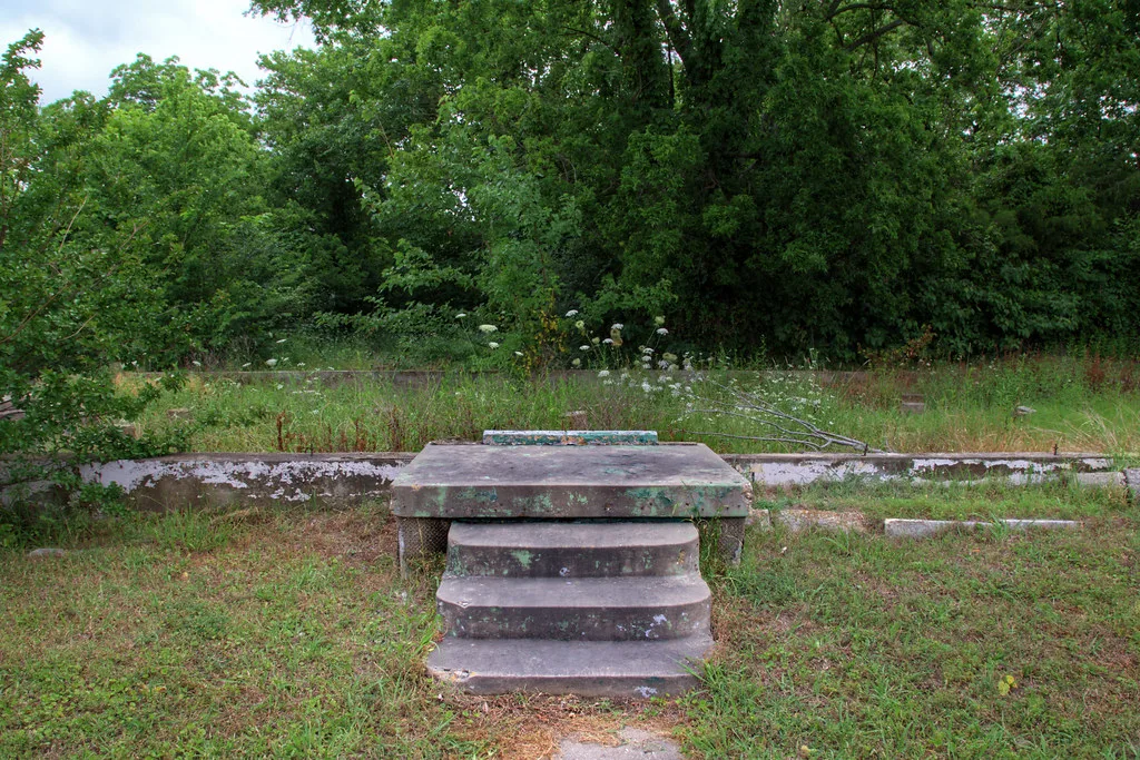 Small concrete staircase before the overgrown foundations of a vanished building.