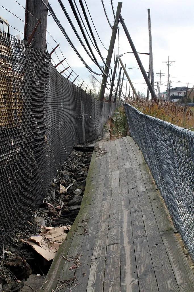 Walkway of sagging planks between two chain-link fences, with debris and reeds.