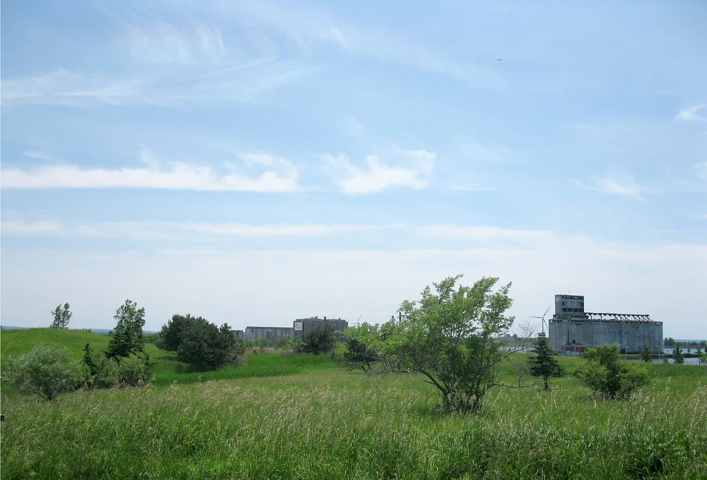 Anciens silos au-delà d’un terrain couvert de végétation.