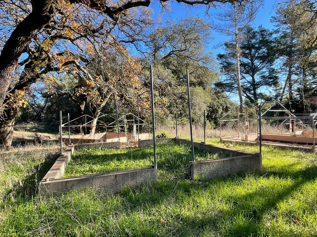 Shelter remains with concrete bases and metal frames among trees.