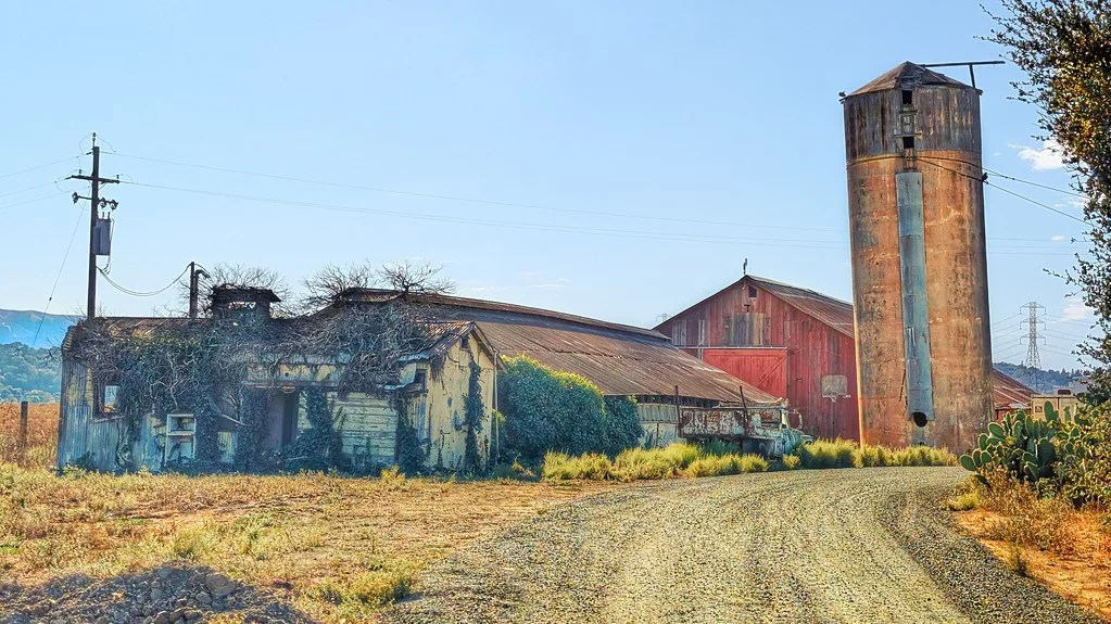 Old farm buildings overgrown with vegetation beside a rusty silo.