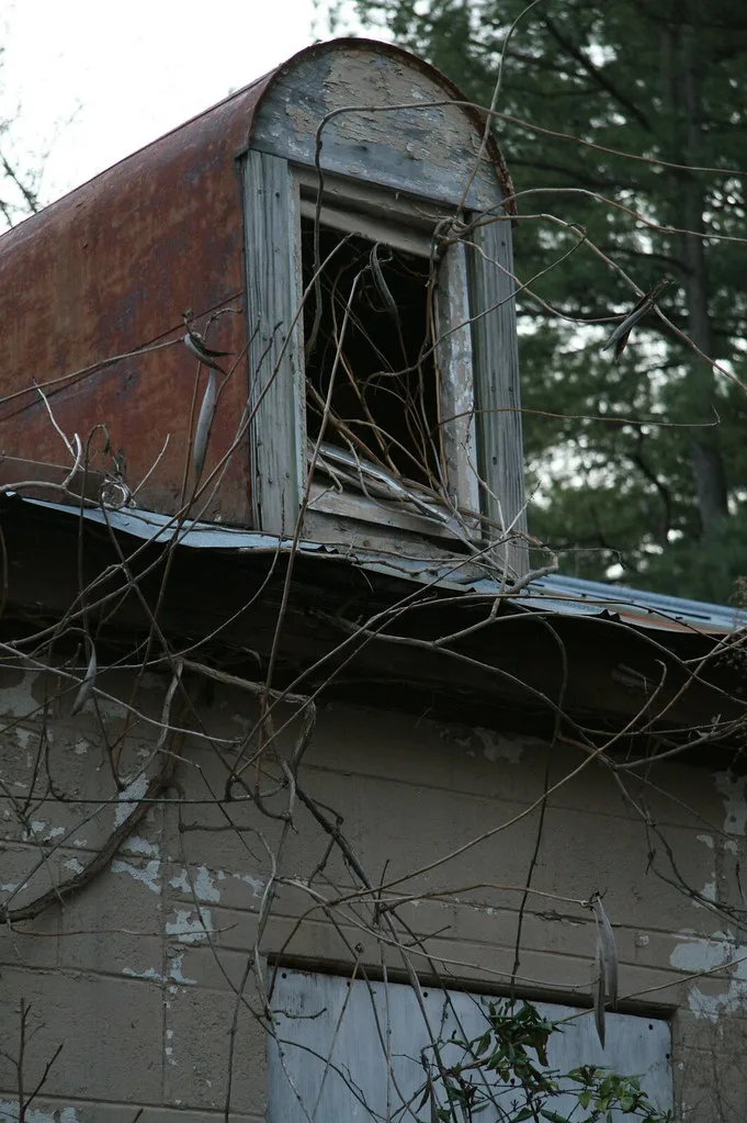 Glassless dormer with a rusty roof among branches.