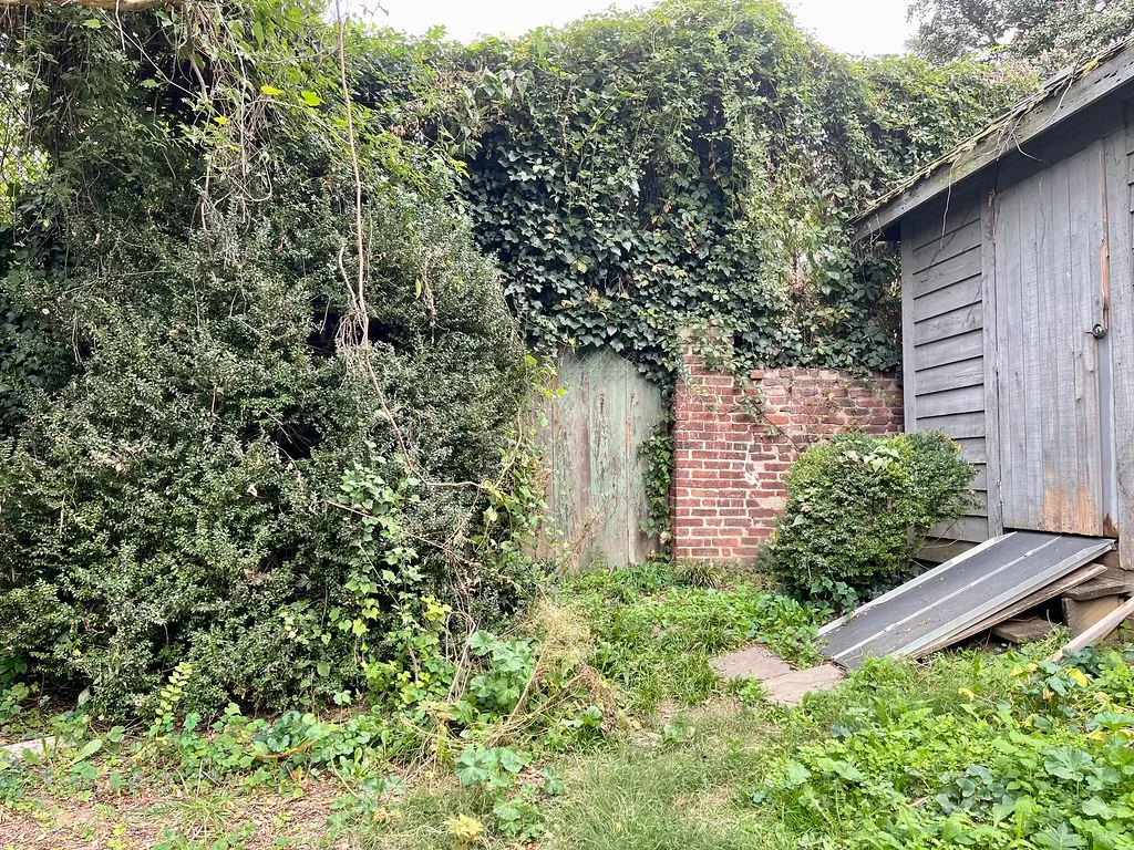 Old brick wall and wooden door overgrown with ivy.