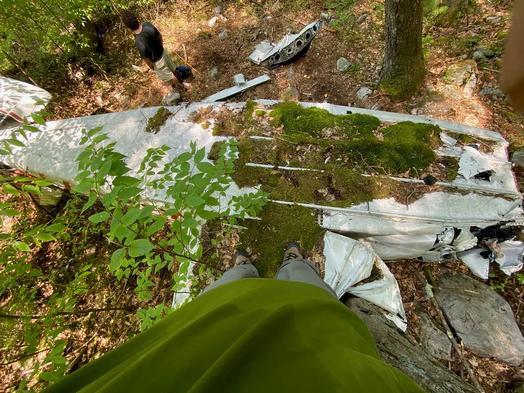 Fragments métalliques d’une épave d’avion couverts de mousse entre les arbres.