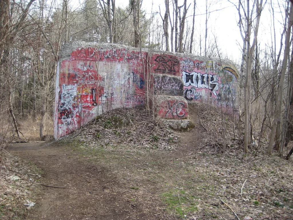 Vestige en béton couvert de graffitis au milieu des arbres.