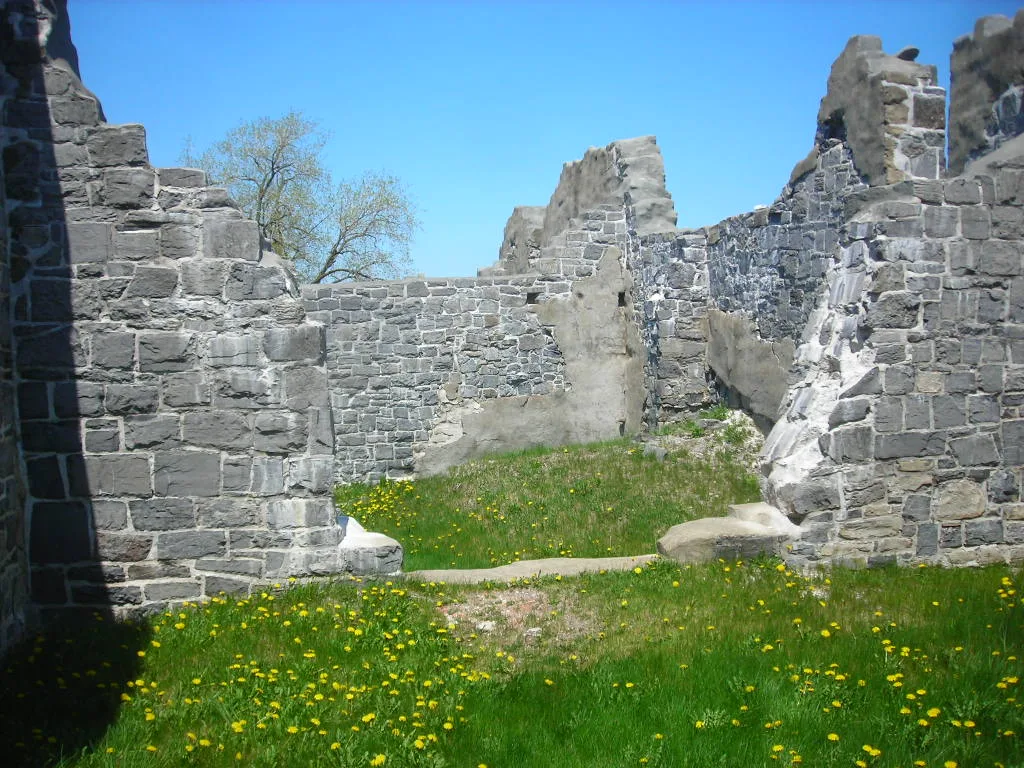Murs de pierre grise en ruine autour d’un sol d’herbe et de fleurs jaunes.