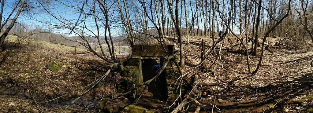 Old masonry structure with a rectangular opening in woodland.