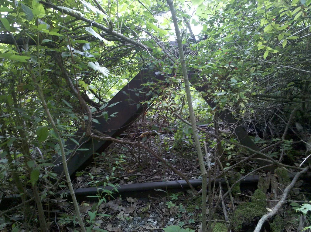 Vestiges de poutres métalliques rouillées dans une végétation dense.