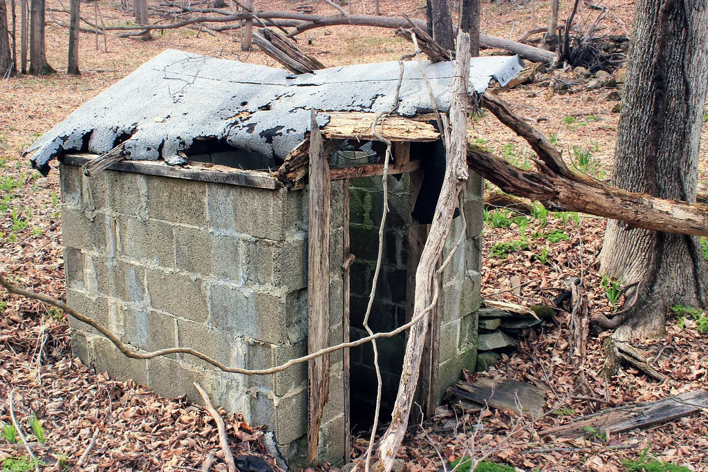 Small abandoned cinder-block shelter without a door and with a torn roof beneath fallen branches in woodland.