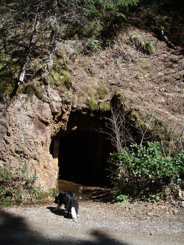 Dark entrance to an old mine in a wooded bank.