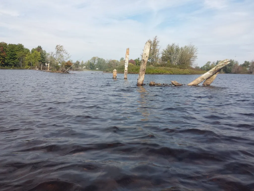 Remains of broken wooden piles from a former water structure aligned toward a wooded shore.