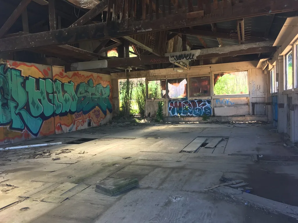 Large graffiti-covered abandoned room with holes in its floor and exposed roof framing, with plants in empty openings.