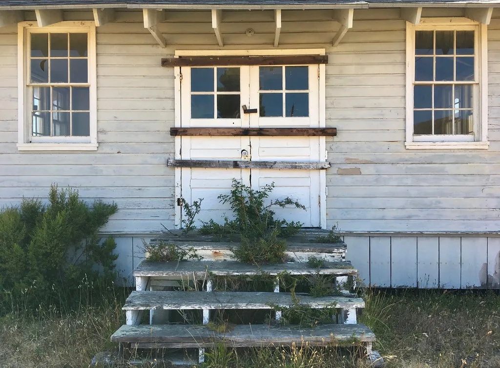 Abandoned white wooden entrance with a barred double door and broken panes, with plants growing between the steps.