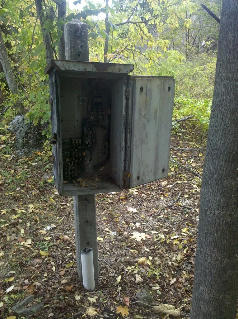 Old open and deteriorated utility cabinet among trees.