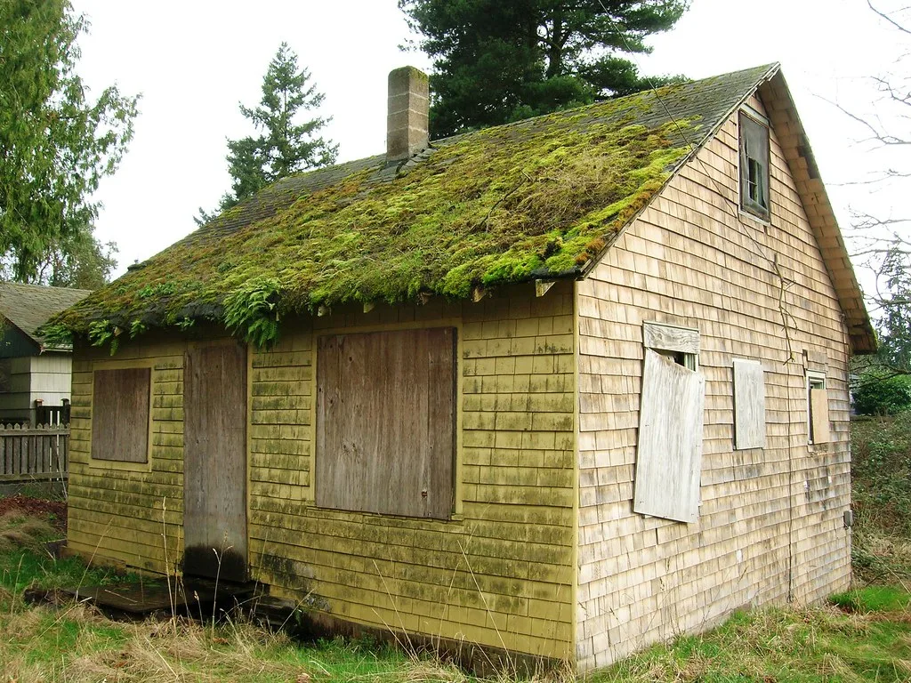 Small boarded wooden house with a moss-covered roof.