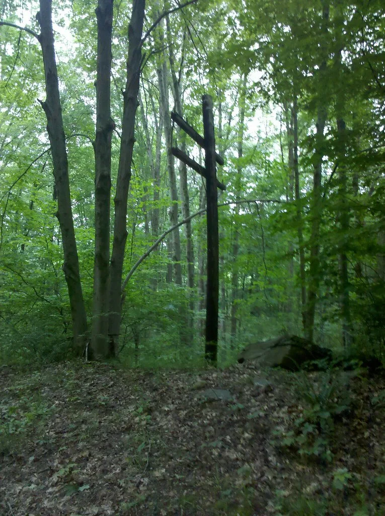 Ancien poteau de ligne sans câbles au milieu de la forêt.