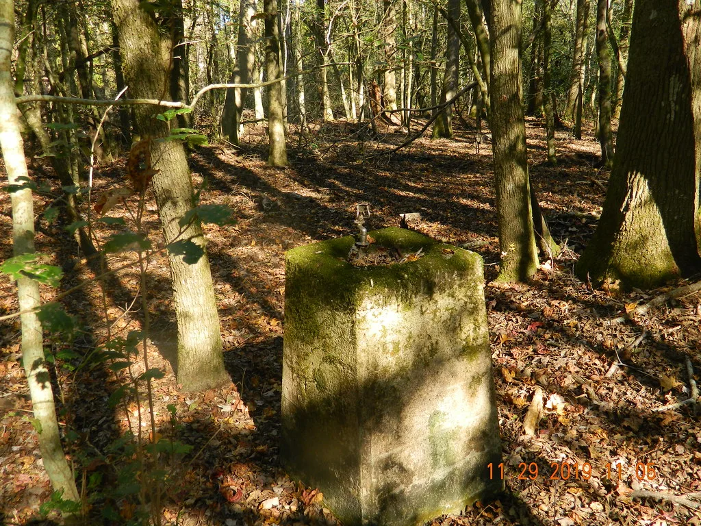 Ancienne borne-fontaine en béton couverte de mousse dans les bois.
