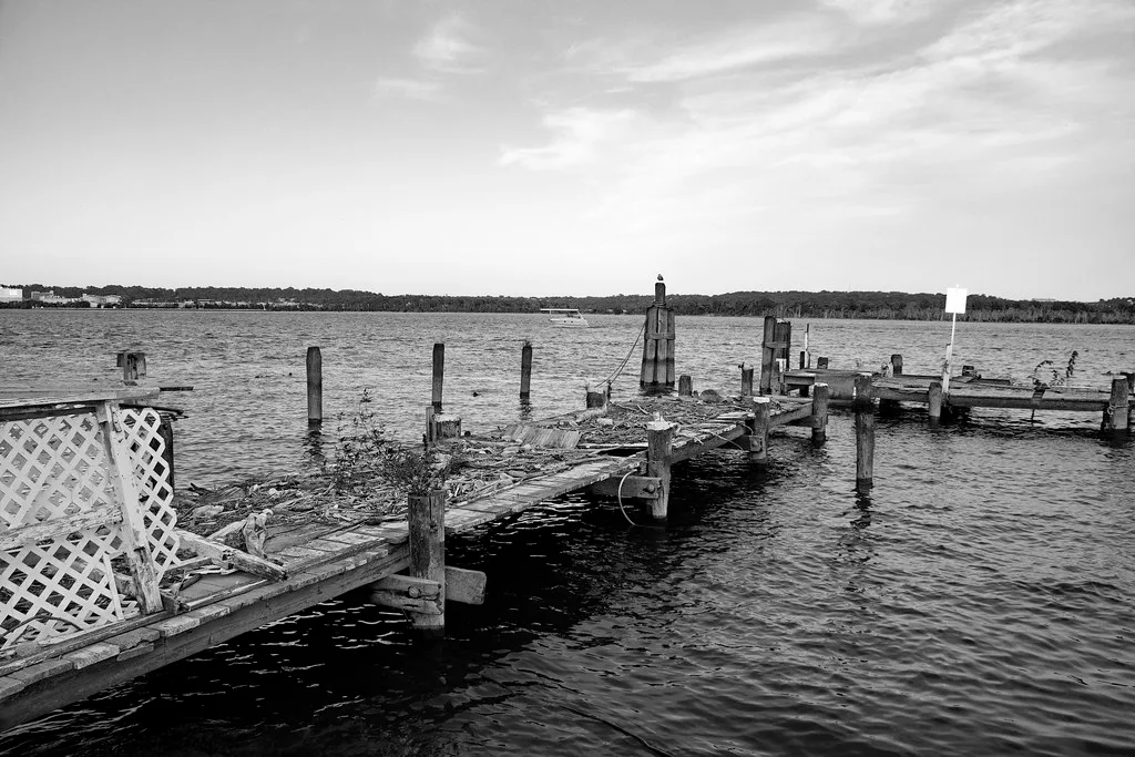 Disused wooden pier with a damaged deck overgrown with branches on a body of water, in black and white.
