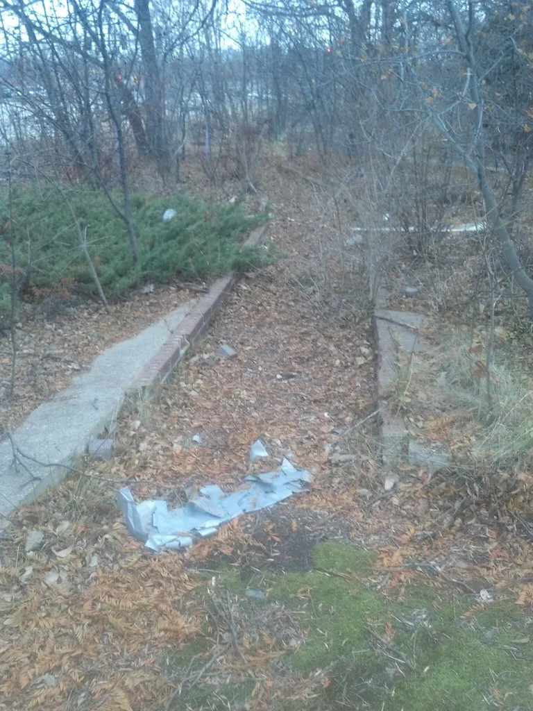 Remains of walls and foundations in woodland.