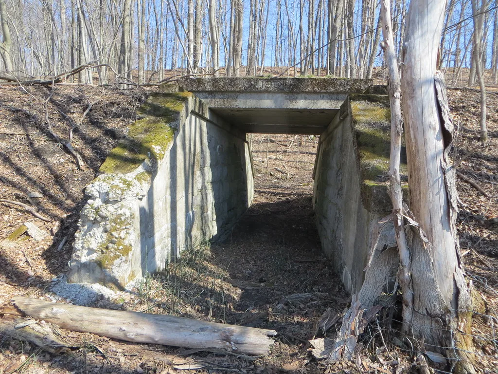 Small mossy concrete passage beneath a wooded bank, with a fallen trunk before the entrance.