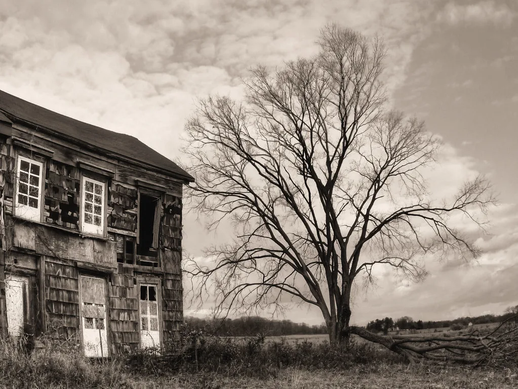 Abandoned house with deteriorated wooden siding and broken windows beside a large bare tree, in sepia.