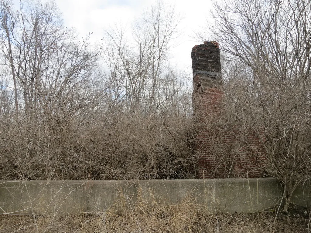 Old brick chimney among brush behind a low wall.