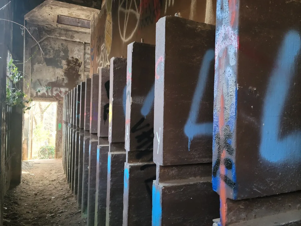 Row of graffiti-covered concrete partitions in a dilapidated room opening onto vegetation.