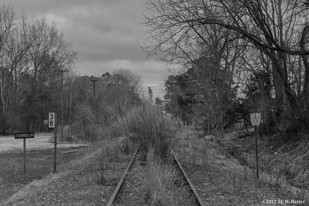 Voie ferrée abandonnée recouverte d’herbes et de jeunes arbres, en noir et blanc.