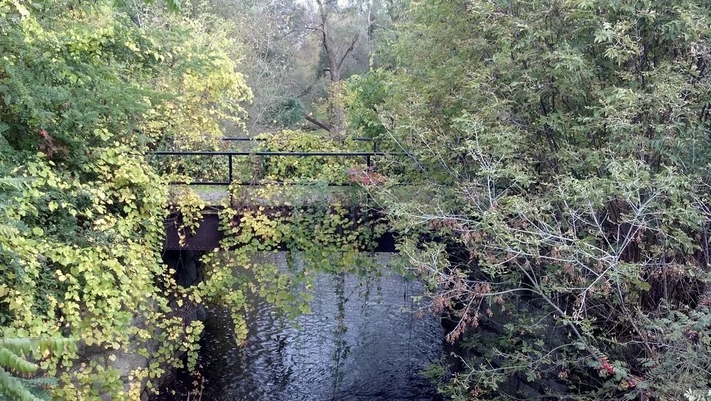 Small abandoned bridge over a stream, with its deck and railings disappearing beneath vines.