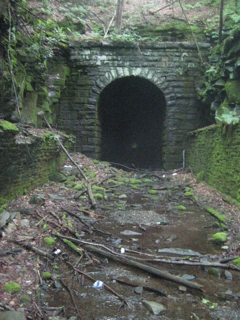Arched entrance of an old stone tunnel in woodland.