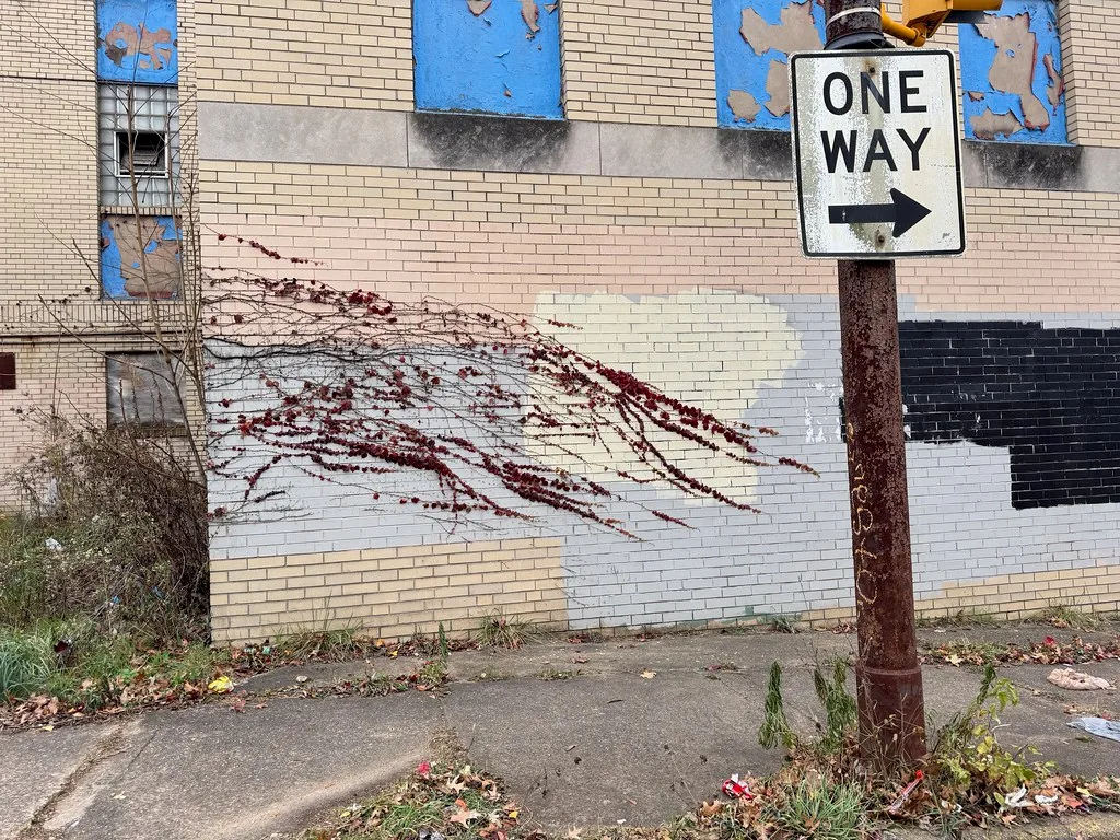 Abandoned facade with peeling blue boards and red climbing vines.
