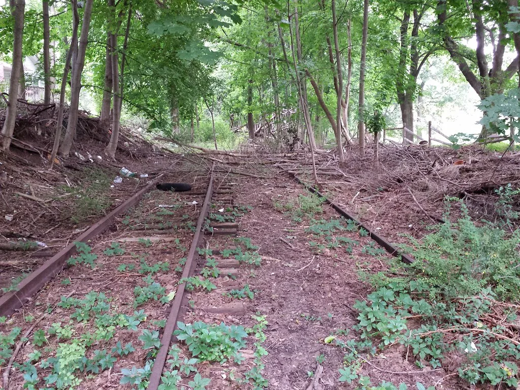 Anciennes voies ferrées envahies de végétation et de branches.