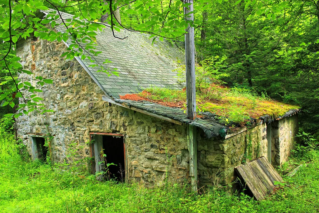 Ancienne maison de pierre aux ouvertures vides entourée de végétation.