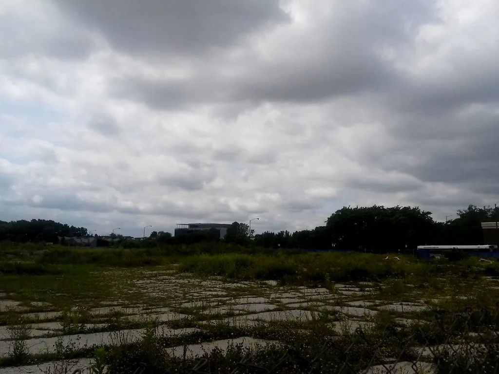 Old paved surface overgrown with vegetation under a cloudy sky.