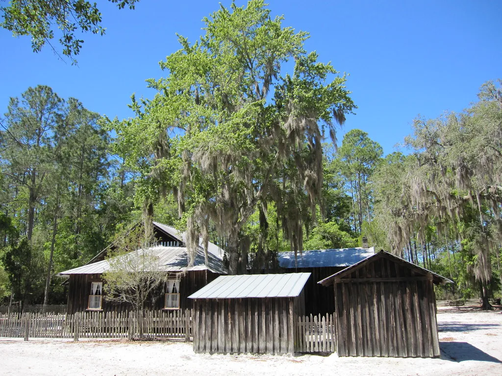 Wooden house and outbuildings at Chesser Island Homestead among trees.