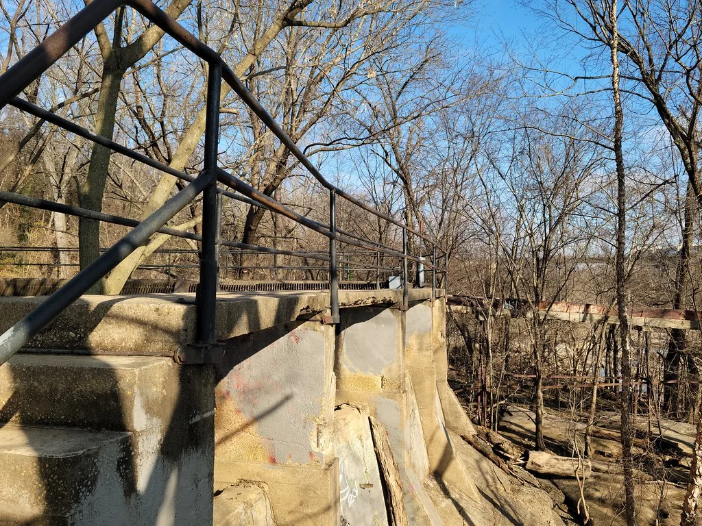 Stairs and concrete industrial remains in the woods at Belle Isle.