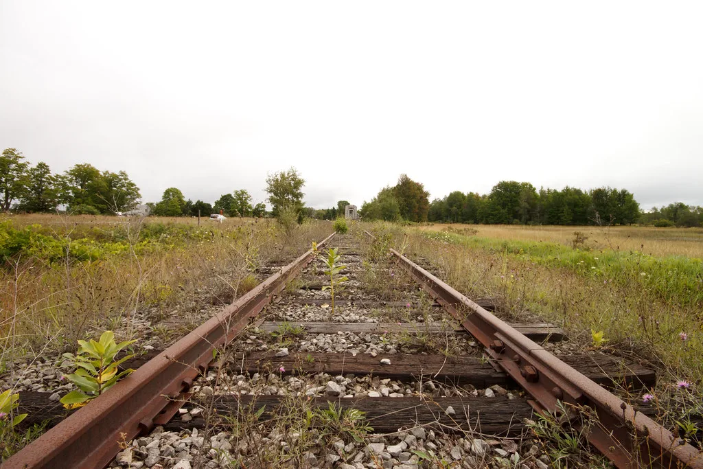 Old rusty railway track overgrown with plants in a meadow.