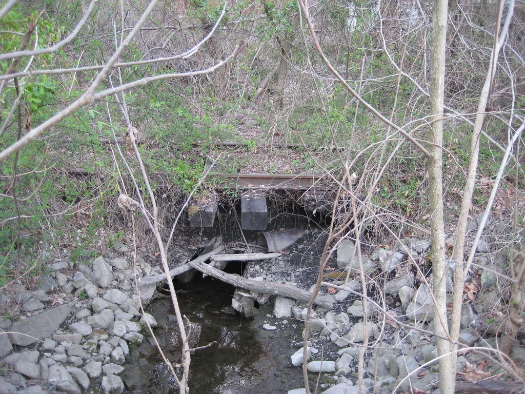 Vestiges d’un petit pont envahis de branches au-dessus d’un ruisseau.