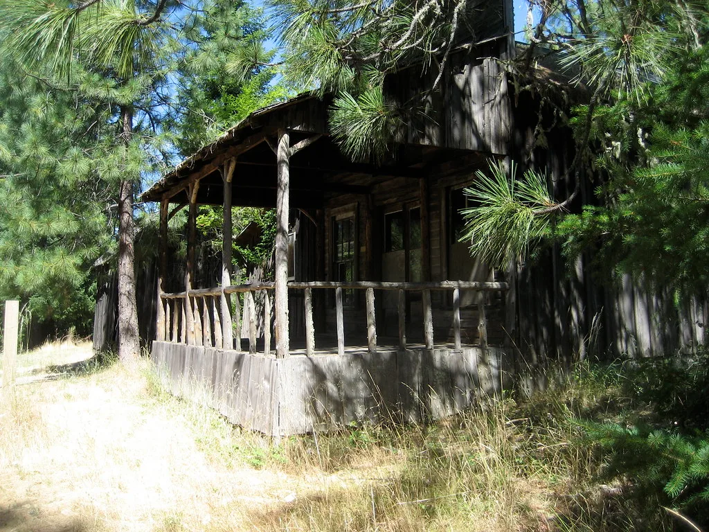 Old wooden house with a porch beneath pine trees.