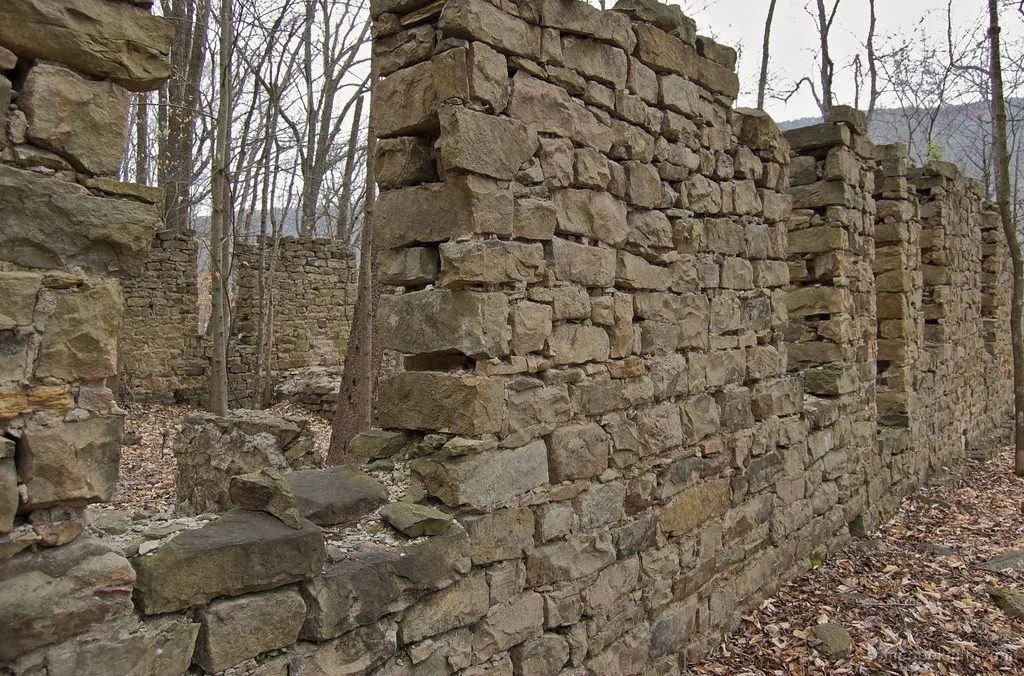 Murs de pierre en ruine aux fenêtres vides dans les bois.